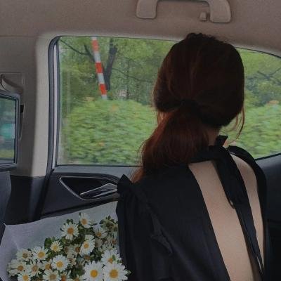 妖精森林的小不点